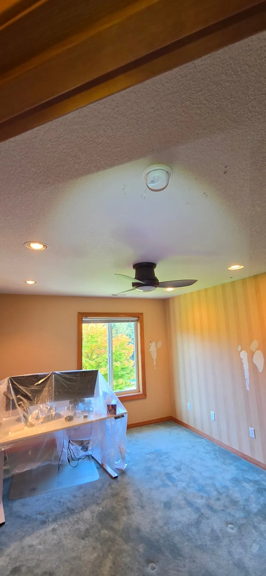 Bedroom in a Brush Prairie WA home with four new recessed lights in a textured ceiling around a dark ceiling fan, a smoke alarm on the ceiling and a window looking out on fall trees