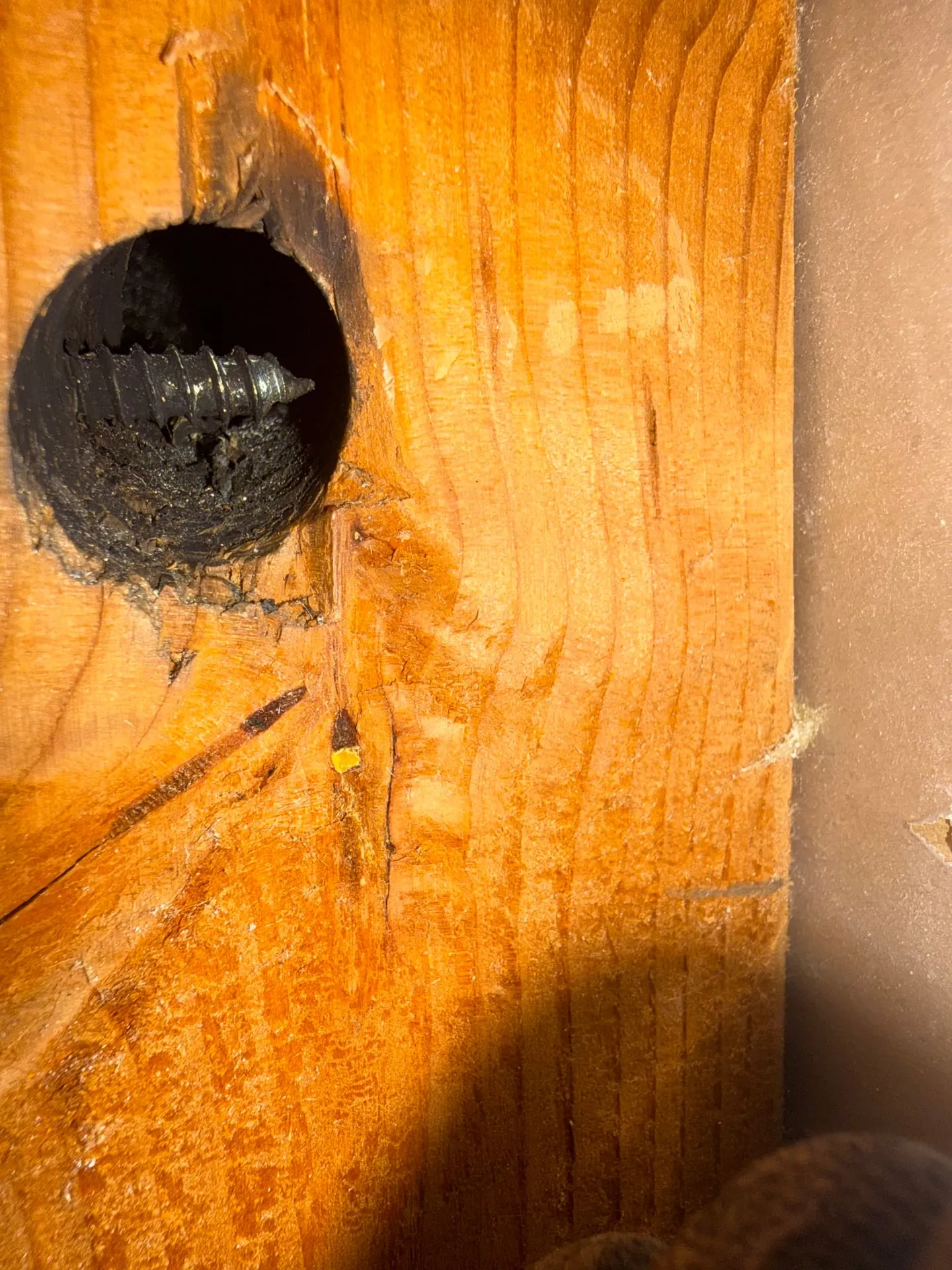 Drywall screw driven into a bored hole in a wood stud where an electrical cable passes through, with black scorch marks around the hole, in an east Vancouver WA home