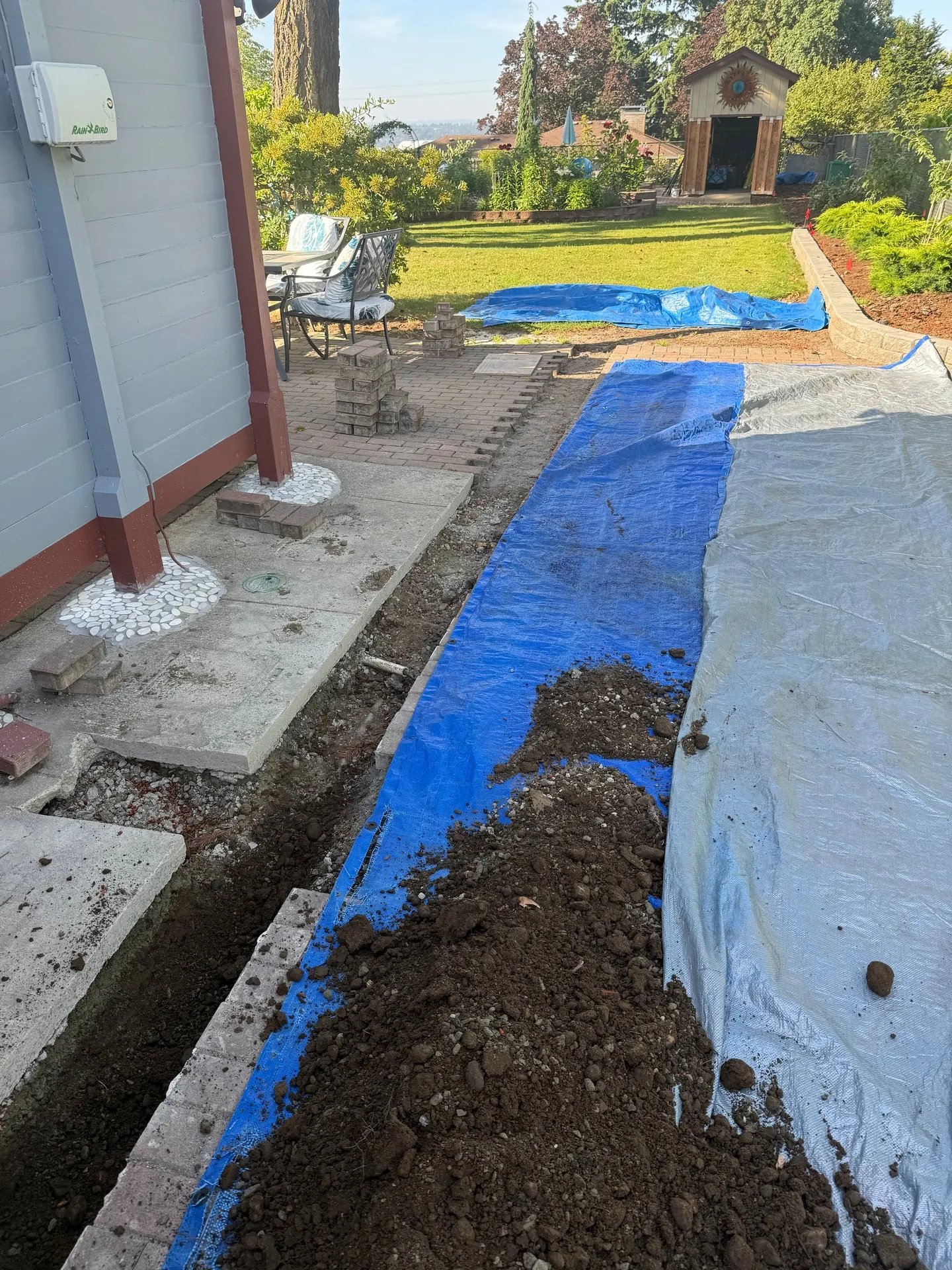 Open trench running across a paver patio edge and lawn in a Vancouver WA backyard, protected with tarps, carrying the feeder out to the shed